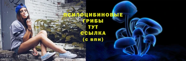 стафф Алексеевка