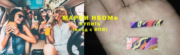 мет Алексин