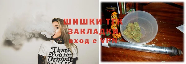 мет Алексин
