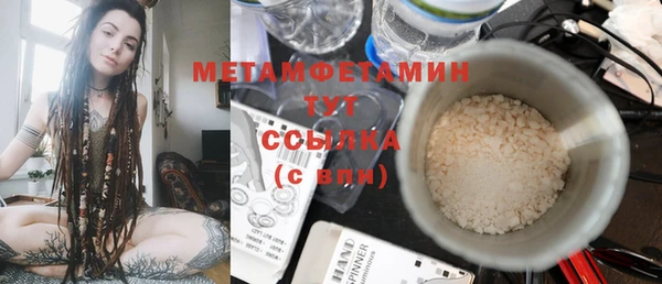 мет Алексин