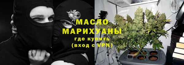 мет Алексин