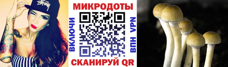 Галлюциногенные грибы Psilocybine cubensis  МЕГА ONION  Зуевка  магазин   